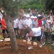 Ambassadors Old Olive Tree planting